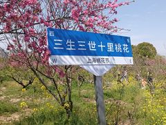 -南汇桃花村