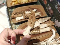 -芸山季·云南山珍菌火锅(南翔印象城MEGA店)