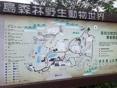-青岛森林野生动物世界