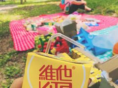 -东郊湿地公园