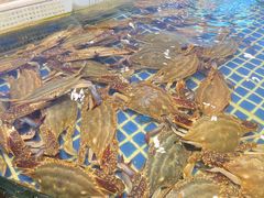 -古月江南大酒店