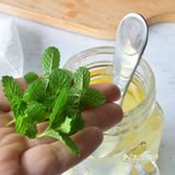 柠檬薄荷饮