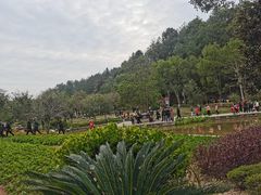 -神光山国家森林公园