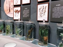 -中国湿地博物馆