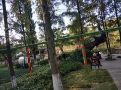 -成飞公园