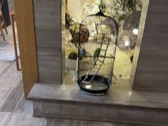 -云中漫步·足疗养生会馆(金开店)