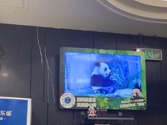-眉州东坡(团结湖店)