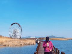 -太湖湖滨国家湿地公园-停车场