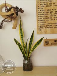 -思怡瑜伽·普拉提·减脂塑形