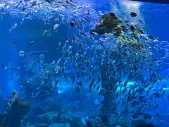 -波塞冬旅游度假区