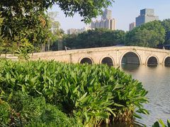-荔湾湖公园