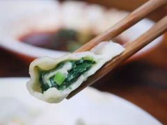 -山东水饺(南坪新街店)