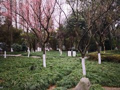 -温江公园