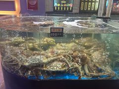 -蟹之国·精品蟹料理(极地店)