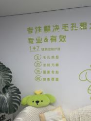 -凡碧诗毛孔清洁收细