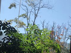 -玉雪春天(中正花园店)