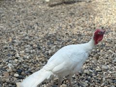 -南京金牛湖风景区