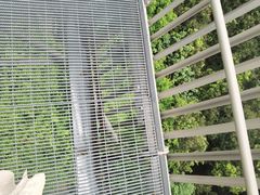 -福道