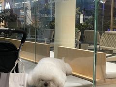 -BeauTea水仙(coco park店)