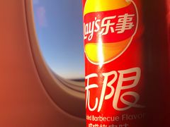-海南海航航空信息系统公司