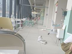 -怪兽屋·羊驼·猫咖·狗咖(俊华广场店)