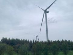 -黄海国家森林公园