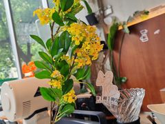 -LOOOAD COFFEE进度条(D9街区店)