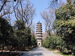 -灵谷景区