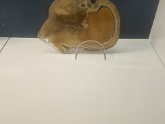 -生命奥秘博物馆