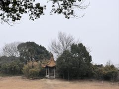 -雨花胜境