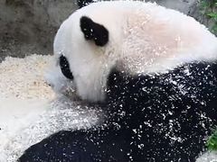 -泉州海丝野生动物世界