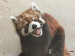 -杭州野生动物世界