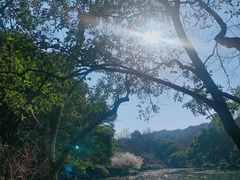 -杭州植物园