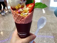 春日捧花丹麦筒冰淇淋-哈根达斯(天河城店)