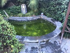 -杭州第一世界大酒店·云曼温泉