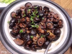 砂锅野生小香菇-郑庄脂渣海鲜楼(九水路店)