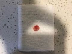 -萌兽医馆·宠物医院·猫骨科(创景店)