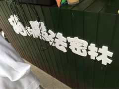 猫的魔法密林-猫的魔法密林(衣裳街店)