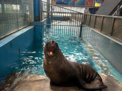 -成都浩海立方海洋公园