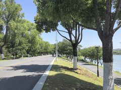 -羊山湖公园