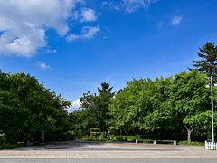 -长春市南湖公园