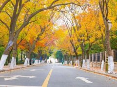 -八大关景区