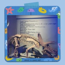 -恐龙探索乐园(磁器口店)