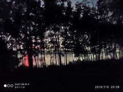 -丁香湖公园