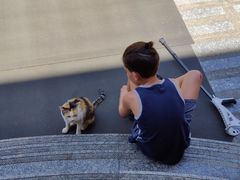 -查龙寺