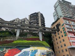 -李子坝梁山鸡(李子坝大鸡哥店)