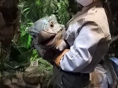 -侏罗纪世界电影特展(广州站)