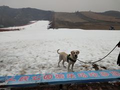 -蓟县盘山滑雪场