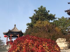 -大兴滨河森林公园