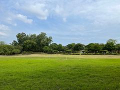 -福建鲤鱼洲酒店